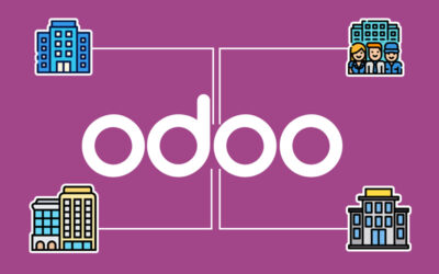 Tame Your Business Multiverse: Master Efficiency with Odoo Multicompany